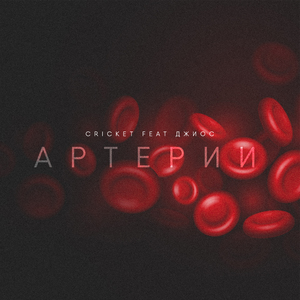 Артерии