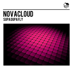 Supa Dupa Fly (Radio Snipped Edit)