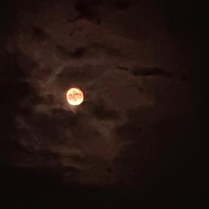 没了我你依然拥有太阳（cover 黄霄雲）