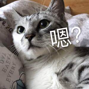 月亮一半（prod by.ChunLi128)