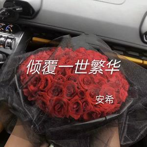 相思风雨中(DJ版)