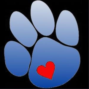 Canine Parvovirus Clearing 7