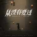 从没有爱过