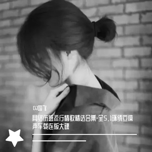 网络伤感流行情歌精选合集-全5.1环绕立体声车载连版大碟