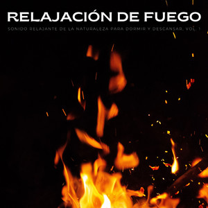 Durmiendo Junto A La Chimenea Cálida