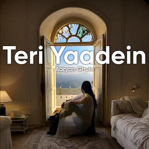 Teri Yaadein (feat. Aahana Ghule)