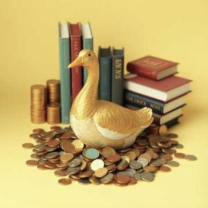 ห่านทองของฉัน