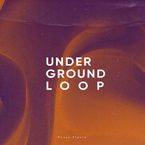 Section (Rousing House Remix)