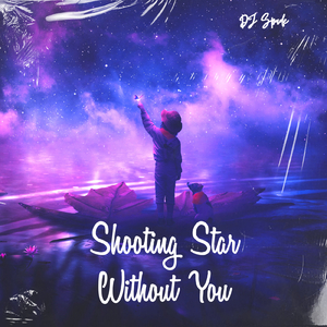 Shooting Star Without You
