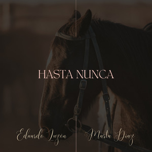 Hasta Nunca