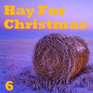 Times Are Getting Hard (Live)