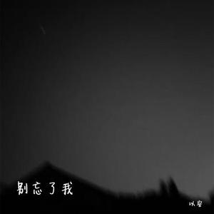 别忘了我 (降调)