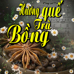 Hương Quế Trà Bồng