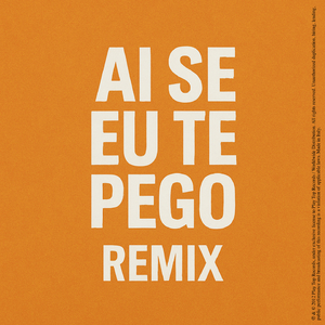 Ai se eu Te Pego (Radio Edit)