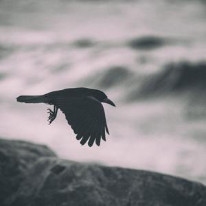 Victimae (feat. Þórhallur Auður Helgason & Michael McGlynn)