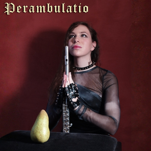 Perambulatio