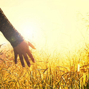 Dormir Mejor (Original Mix)