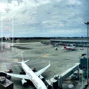 告别的机场
