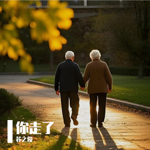 你走了