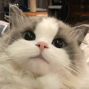 DjInitial - Lifes Years Like Flowing Water