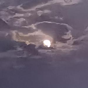 《乌夜啼·林》词李煜 曲唱赵鑫