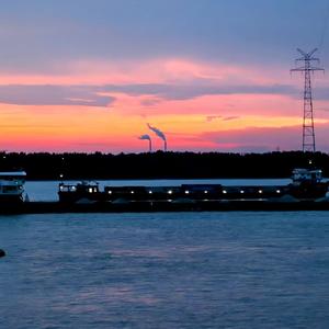 行走的鱼（Cover：汪苏泷）