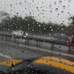 风雨飘落