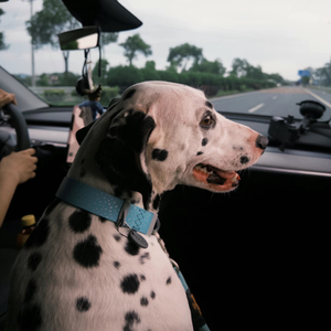 我说过这个冬天太冷