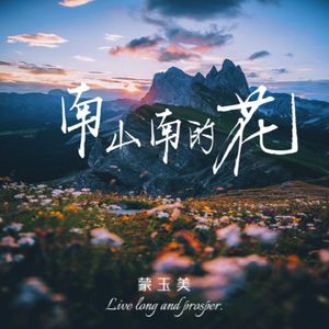 南山南的花