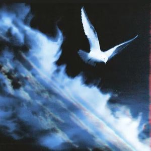 只有你在我身边时