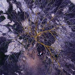 מי יתנני עוף (שיר הנודד)