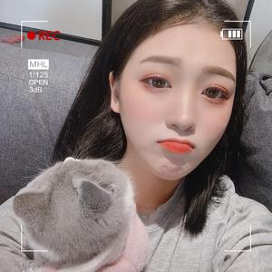 流浪的猫写情诗