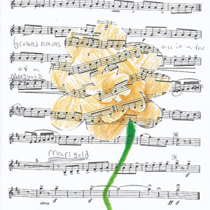 Marigold