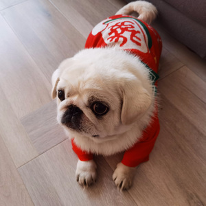 心之桥梦之家-伴奏