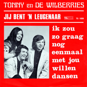 Ik Zou Zo Graag Met Jou Nog Eenmaal Willen Dansen