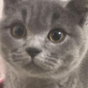 刻在我心底的名字（翻自 卢广仲）