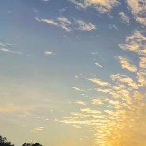荒芜的山丘