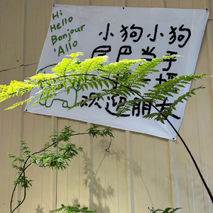 Refrain·初见序章