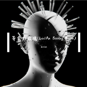 等爱的玫瑰(Lex1An Bootleg Remix)