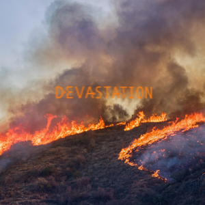 Devastation