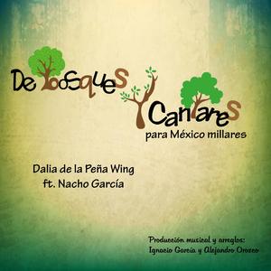 De tal(ár)bol tal astilla