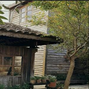 เขารักคุณ แต่เขารักฉันมากกว่า