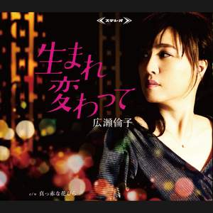 真っ赤な花びら