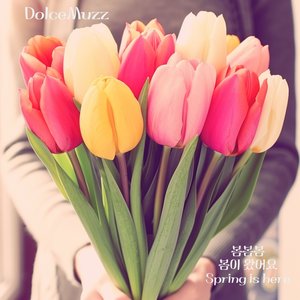 봄봄봄 봄이 왔어요 Spring is Here