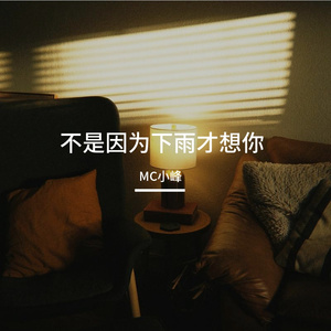 不是因为下雨才想你