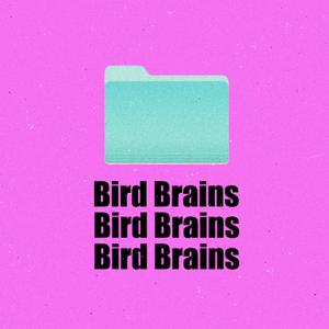 Bird Brains (feat. TAWPO)