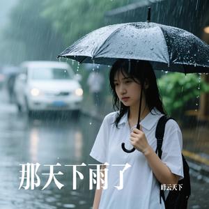 那天下雨了