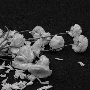 [Free] Emotional&Pain Piano Type Beat - "Empty"