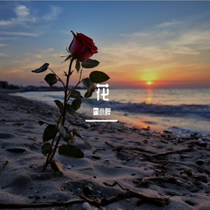 野草与栀子花-钢琴演奏 伴奏