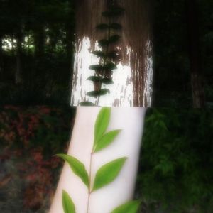 相爱到最后是不是要用原则做解脱